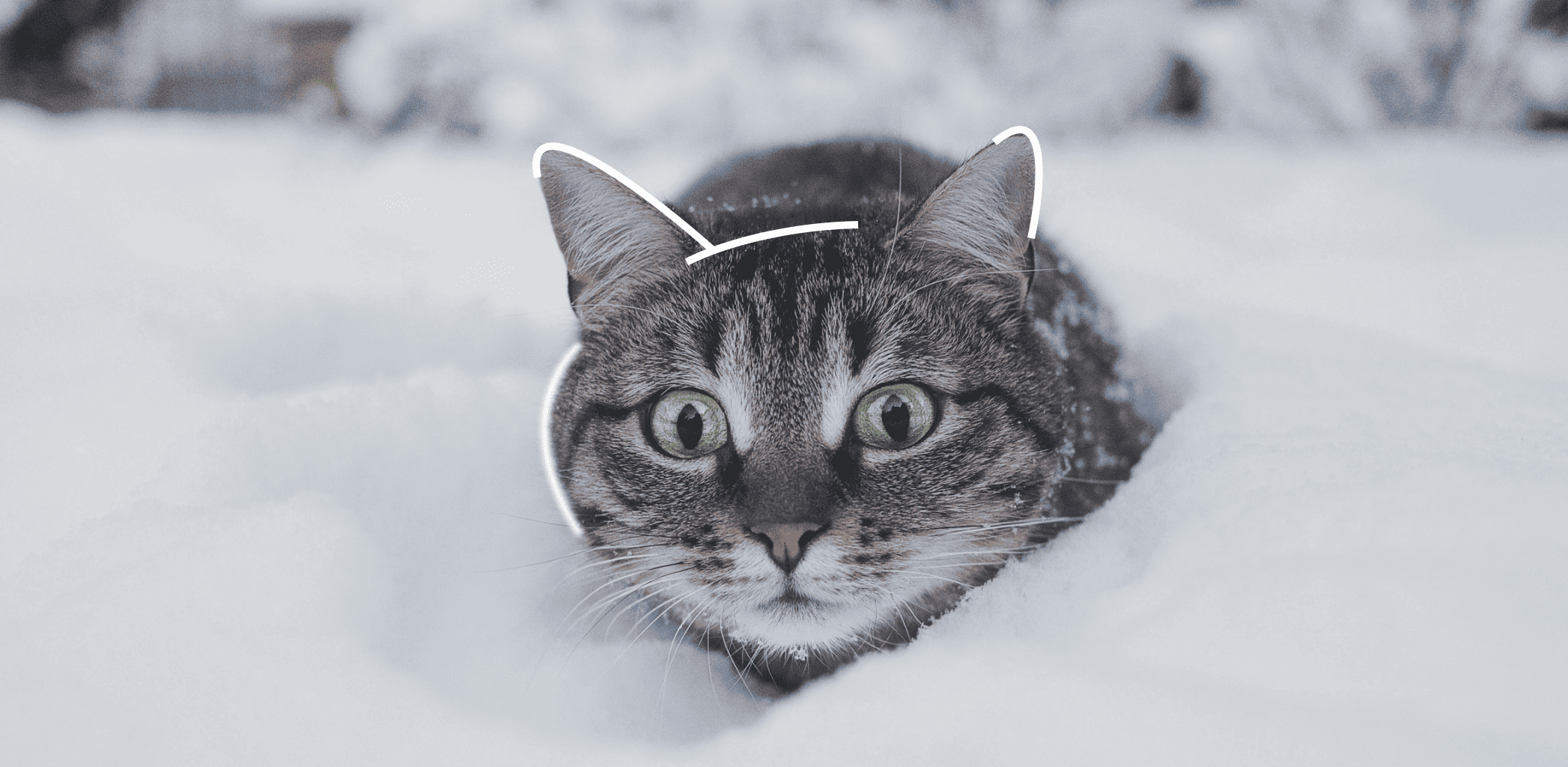 Доступное жильё для молодёжи: возможности 2025 